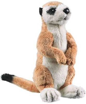 

Wild Life Artist Meerkat 75" - 12 inch(Brown)
