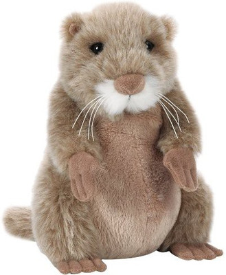 

Webkinz Prairie Dog - 7 inch(Brown)