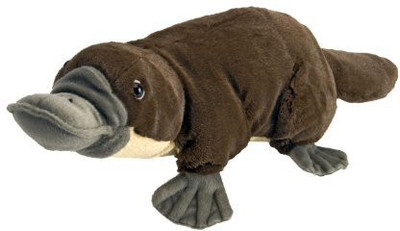 

Wild Republic Platypus Cuddlekins Plush 18" L - 6 inch(Brown)