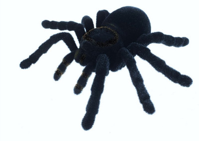 

HE Retail Scary HalloweenTarantula Spider - 4 inch(Black)