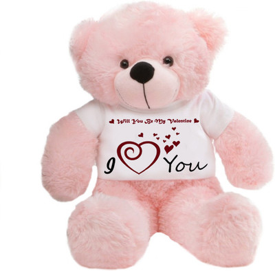 

Grab A Deal Big Teddy Bear wearing a Will You Be My Valentine T-shirt - 24 inch(Pink)