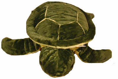 

Riya Enterprises Green Tortoise - 16 cm(Green)