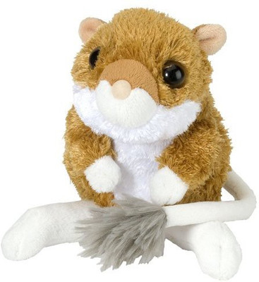 

Wild Republic CK-Mini Kangaroo Rat 8" Plush - 20 inch(Multicolor242)