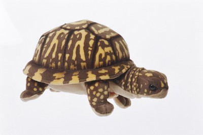 

Cabin Critters Box Turtle Plush 11" Long - 12 inch(Brown)