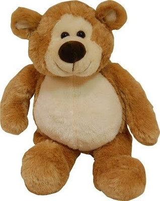 

Surbhi Teddy - 16.9 inch(Brown)