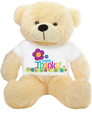 

Grab A Deal Big Teddy Bear wearing Many Thanks T-shirt - 24 Inch(Beige, Orange)