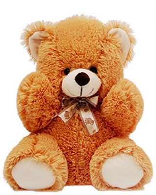 Tabby Cute & Sweet Brown Teddy BearTeddy Bear - 45 cm(Brown)