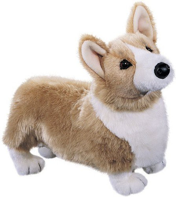 

Douglas Chadwick Corgi(Brown)