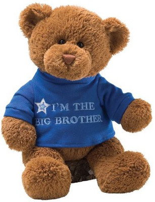 

Enesco Gund Tshirt Message Teddy Bear Animal(Brown)