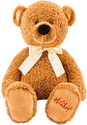 

Hamleys Geona Bear - 16.5 inch(Brown)