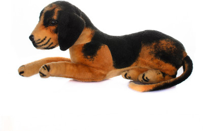 

Arihant Online Soft_0024 - 17 cm(Brown, Black), Black;brown
