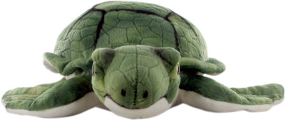 Hamleys Sunny Sea Turtle Soft Toy - 7.9 inch(Multicolor)