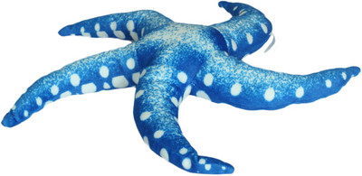 

Imagica Kids Soft Toys Starfish - 6 inch(Blue)