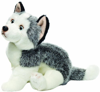 

Nat and Jules Plush Huskylarge(White)