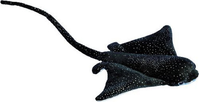 

Douglas Cuddle Toys Flash Stingray 19"(Black)
