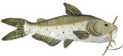 

Cabin Critters Channel Catfish Plush 17" L - 12 inch(Brown)