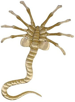

Unknown Alien Facehugger Plush In Space No One Can Hear You Cuddle(Brown)