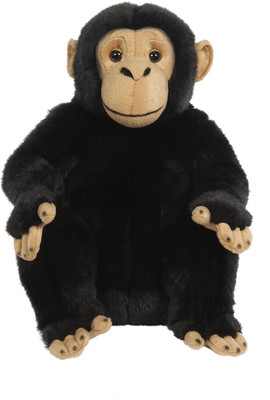 

Hamleys Chioma Chimpanzee Soft Toy - 13 inch(Black, Brown)