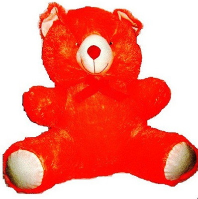 

Evergreen Sitting Teddy - 18 inch(Red)