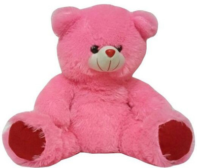 

COCOONSOFT Teddy Bear Large-ii - 20 inch(Pink)
