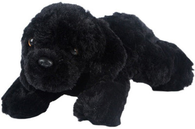 

ToynJoy Small Lying Black Dog Puppy Cute Soft & Plush toy as Special Gift - 30 cm(Black)