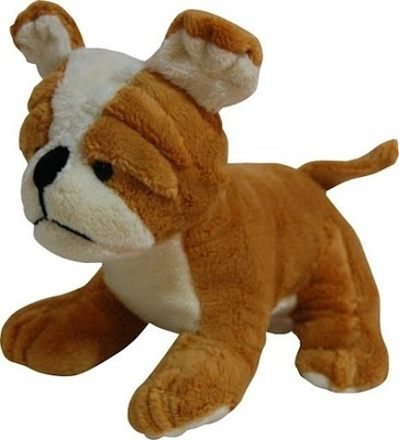 

Surbhi Bull Dog - 7.2 inch(Brown)