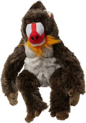 

Hamleys Moriarty Mandrill - 11.41 inch(Multicolor)
