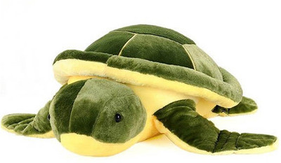 Speoma Cute and Soft Lovely Tortoise Premium soft Toy (Green & Yellow) - 22 cm(Green & yellow)