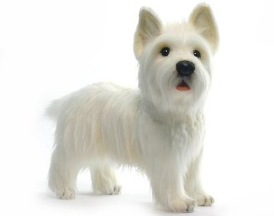 

Hansa West Highland Terrier Dog Plush Animal(White)
