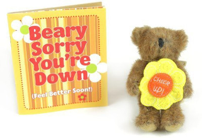 The Boyds Collection Ltd. Beary Sorry You'Re Down The Boyds Collection(Brown)