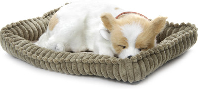Perfect Petzzz Chihuahua White & Tan - 4.2 inch(Multicolor)