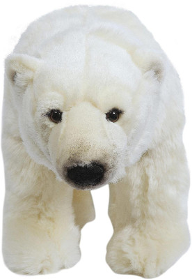 

Hamleys Pasha Polar Bear Soft Toy - 11 inch(White)
