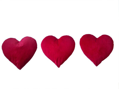 

Play N Pets Heart - 40 cm(Red)