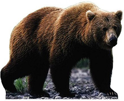 

Advanced Graphics Grizzly Bear Life Size Cardboard Standup - 12 inch(Brown)
