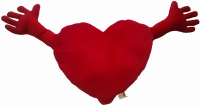 

Play N Pets Heart - 36 cm(Red)