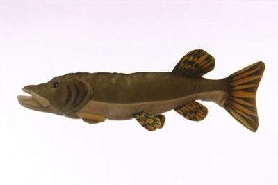 

Cabin Critters 10" Northern Pike Fish Plush Animal - 5 inch(Brown)