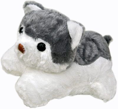 

NoVowels Novowels Soft Puppy Gray & White Color 29Cm - 18 cm(Multicolor)