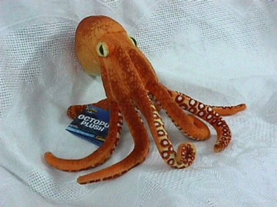 

Adventure Planet Plush Octopus ( 9 Inch ) - 8 inch(Brown)