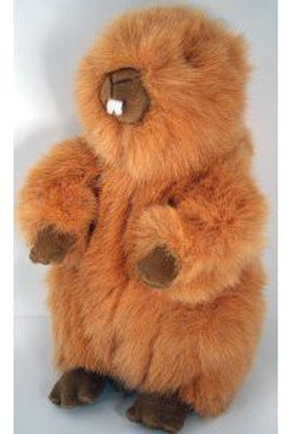 

Kohl's Gund Beaver Plush(Brown)