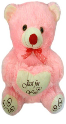Ktkashish Toys Kashish Cute Teddy Bear 15 Inch - 15 inch(Pink)