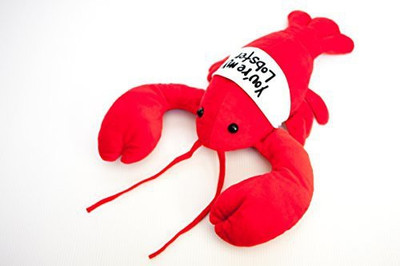 

Cool TV Props "You'Re My Lobster" Plush Inspired The Friends Tv Show (17") - 11 inch(Red)