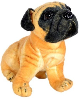 

Gauba Traders Beige Pug Dog - 40 cm(Multicolor)