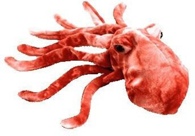 

TY Beanie Babies Wiggly The Squid - 16 inch(Red)