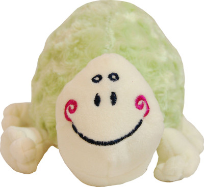 

Surbhi Turtle - 9.8 inch(Green)