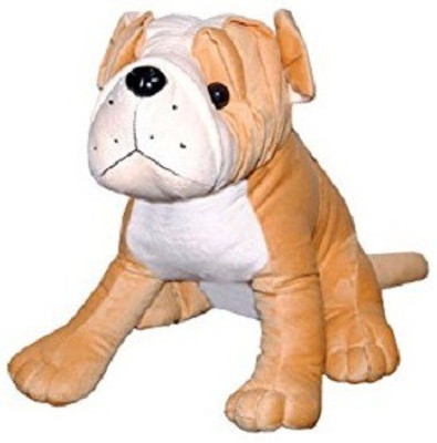 

Taaza Garam High Quality Teddy Bear Dog Imported Material Baby Kids Toy Christmas Gift - 38 cm(Multicolor)