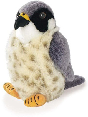 

Wild Republic Peregrine Falcon Audubon Plush Bird (Authentic Bird Sound)(White)