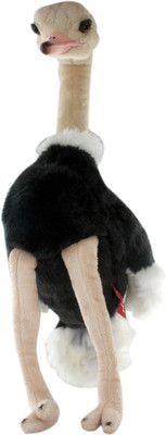 

Hamleys Ostrich Soft Toy - 20.8 inch(Multicolor)