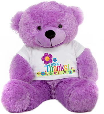 

Grab A Deal Big Teddy Bear wearing Many Thanks T-shirt - 24 Inch(Purple)