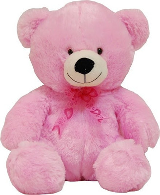 

Surbhi Huggable Teddy - 16.9 Inch(Pink)