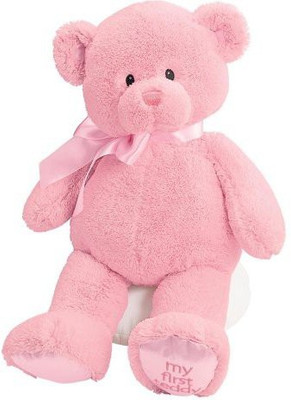 

Gund Ba My First Teddylargepink(Pink)
